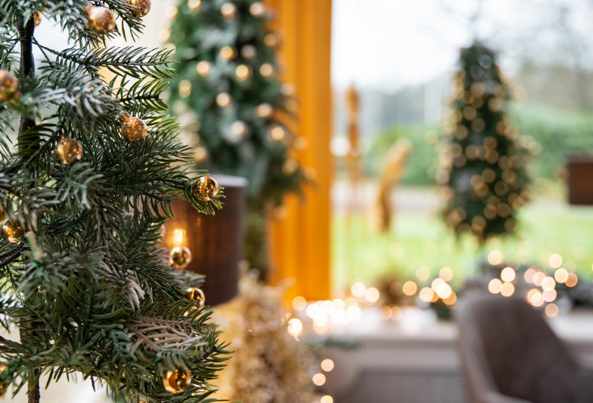 Kerstgaladiner bij Carelshaven